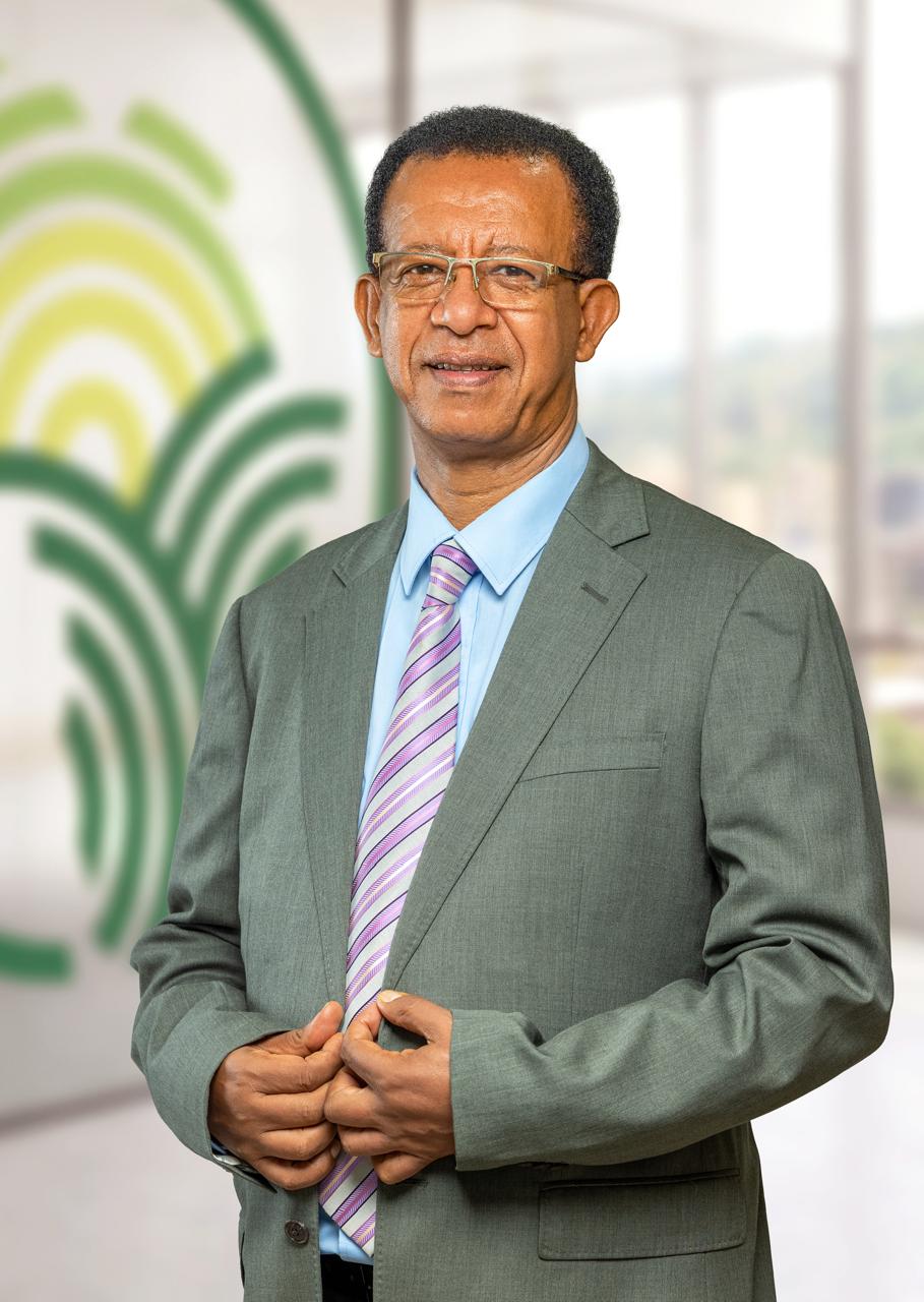 Africa Rising to Challenges of Food Security 
